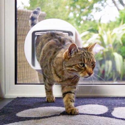 SureFlap DualScan cat door (white) installed in glass