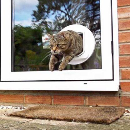 SureFlap DualScan cat door (white) installed in glass