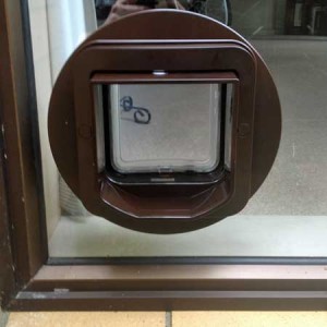 SureFlap DualScan cat door (brown) installed in glass