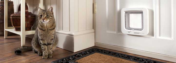 Cat door company deals