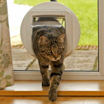 SureFlap microchip cat door (white) installed in glass