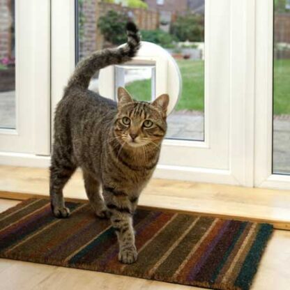 SureFlap microchip cat door (white) installed in glass