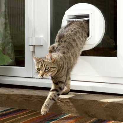 SureFlap microchip cat door (white) installed in glass