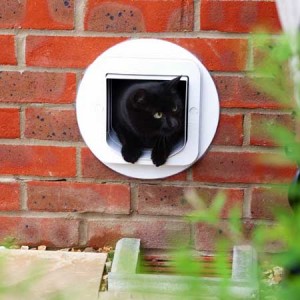 SureFlap microchip large pet door (white) installed in brick wall