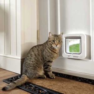 SureFlap microchip cat door (white) installed in timber