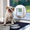 SureFlap microchip large pet door (white) installed in glass
