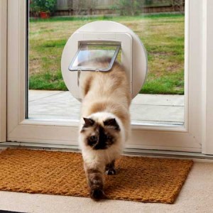 SureFlap microchip large pet door (white) installed in glass