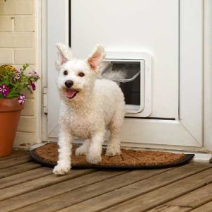 SureFlap microchip large pet door (white) installed in timber