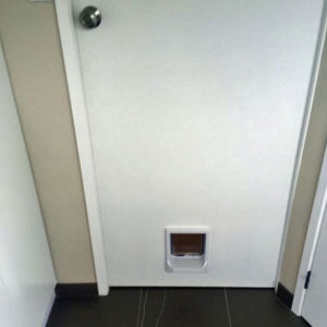 Catwalk door installed in an internal timber door