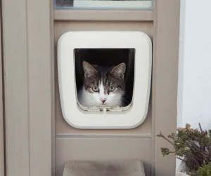 cat doors in auckland